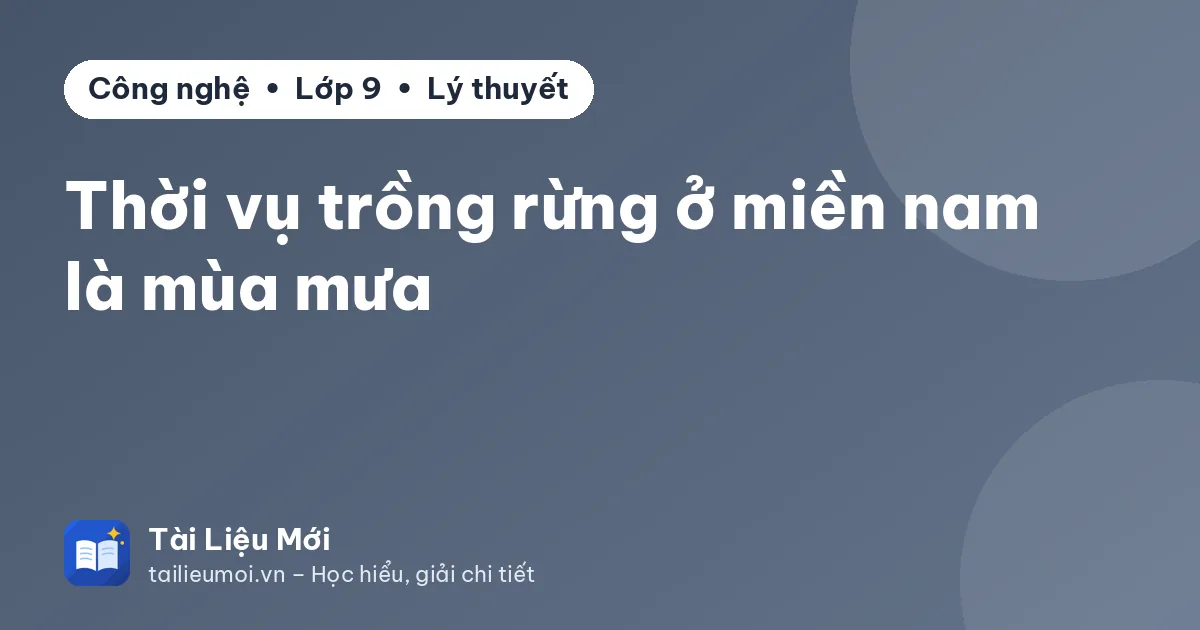 Thời vụ trồng rừng ở miền nam là mùa mưa
