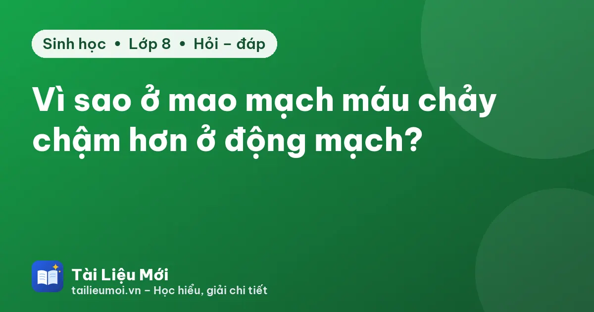 Vì sao ở mao mạch máu chảy chậm hơn ở động mạch?