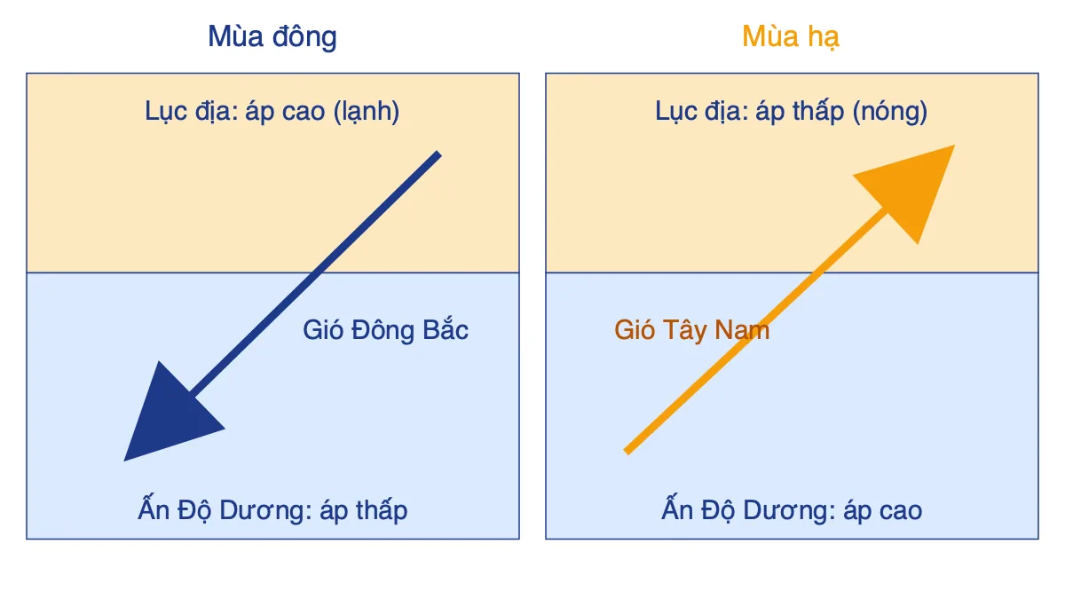 Sơ đồ so sánh hướng gió mùa Nam Á: mùa đông gió đông bắc từ lục địa ra biển, mùa hạ gió tây nam từ biển vào lục địa