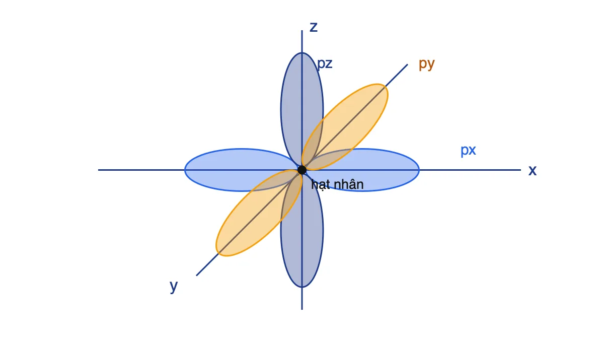 Ba orbital p (px, py, pz) có dạng hình số tám nổi, nằm dọc theo ba trục x, y, z vuông góc nhau