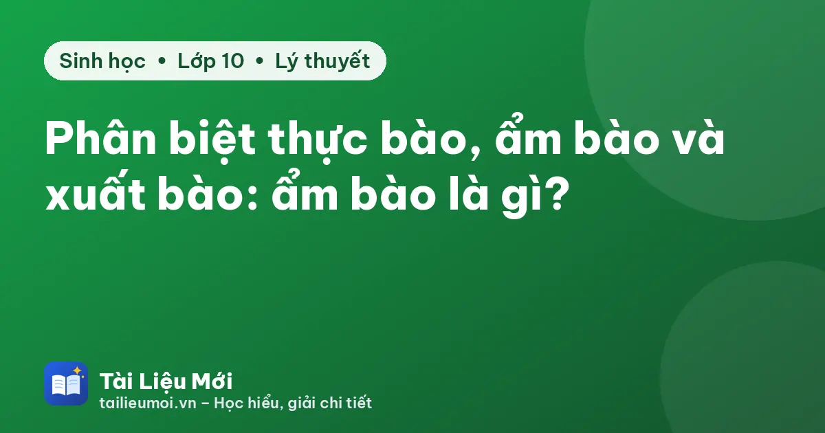 Phân biệt thực bào, ẩm bào và xuất bào: ẩm bào là gì?
