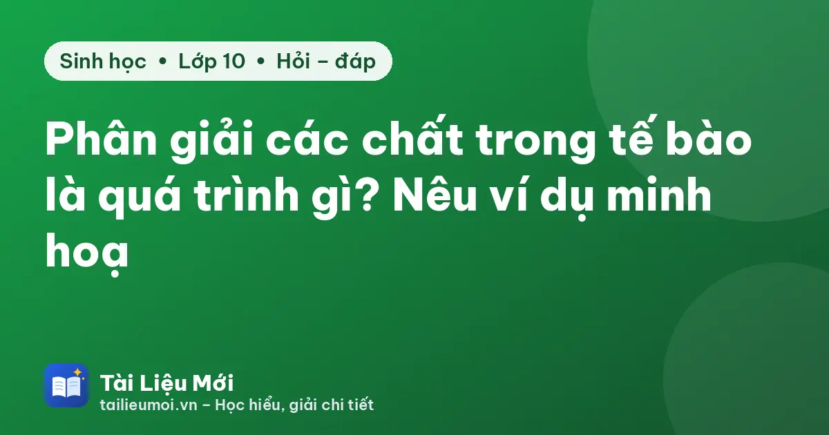 Phân giải các chất trong tế bào là quá trình gì? Nêu ví dụ minh hoạ