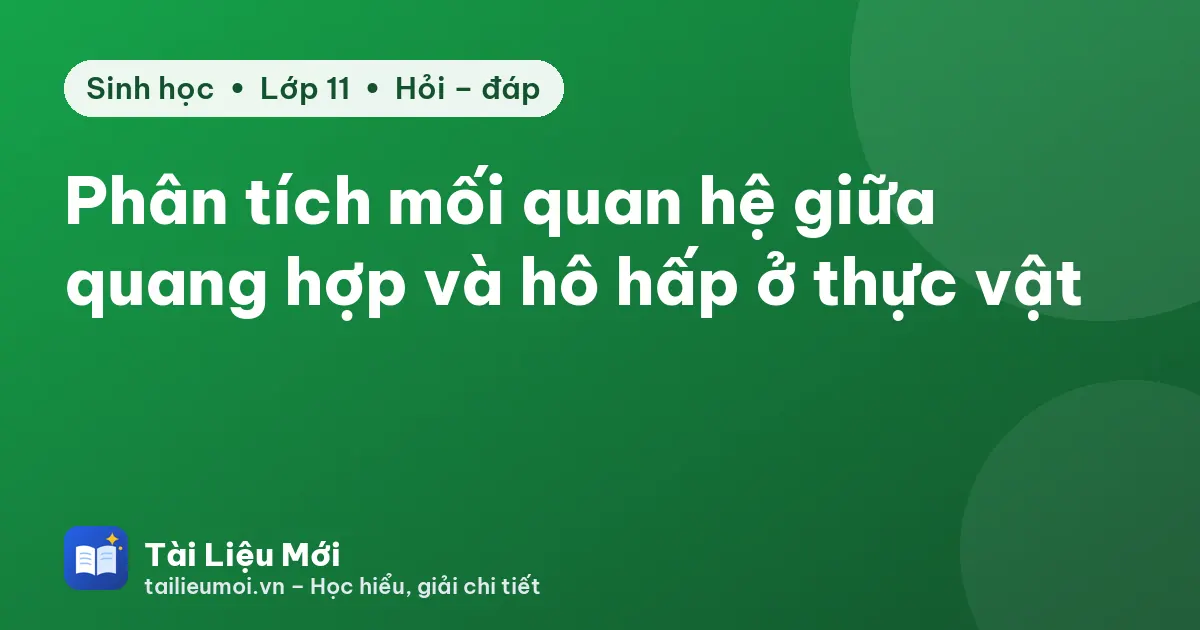 Phân tích mối quan hệ giữa quang hợp và hô hấp ở thực vật
