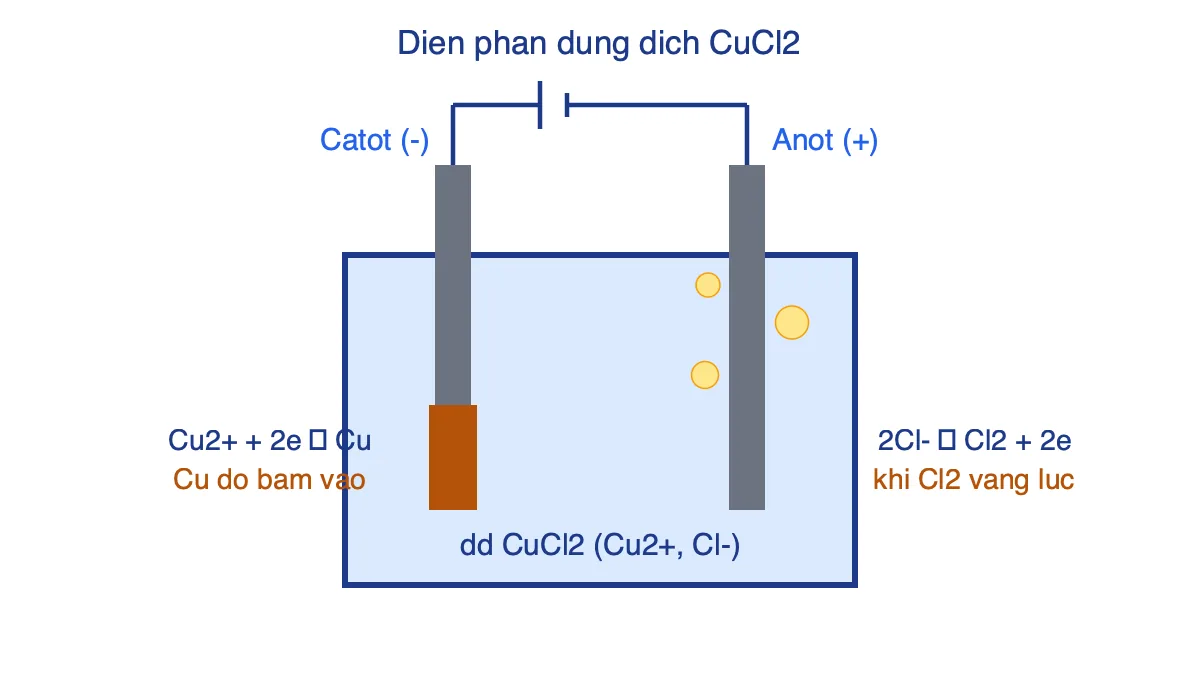 Sơ đồ điện phân dung dịch CuCl2 với catot sinh Cu và anot sinh Cl2