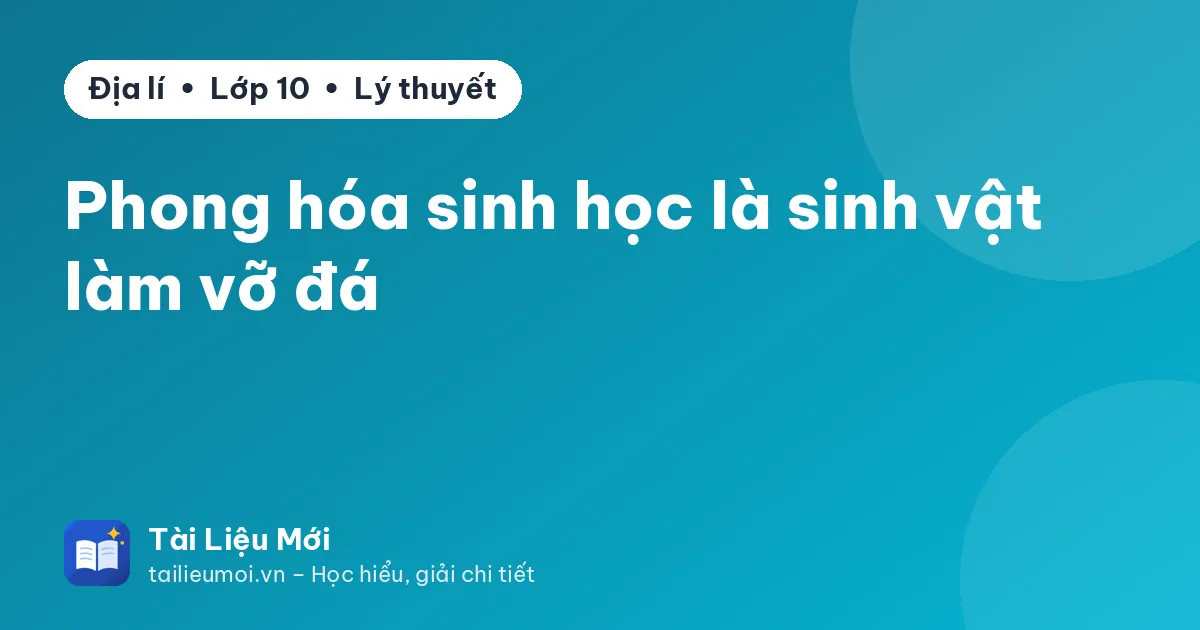 Phong hóa sinh học là sinh vật làm vỡ đá