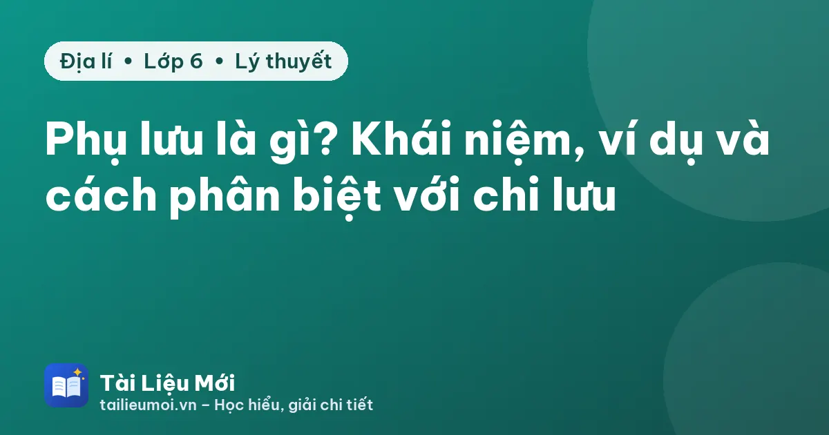 Phụ lưu là gì? Khái niệm, ví dụ và cách phân biệt với chi lưu