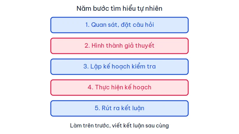 Sơ đồ năm bước tìm hiểu tự nhiên xếp dọc: quan sát và đặt câu hỏi, hình thành giả thuyết, lập kế hoạch, thực hiện kế hoạch, rút ra kết luận