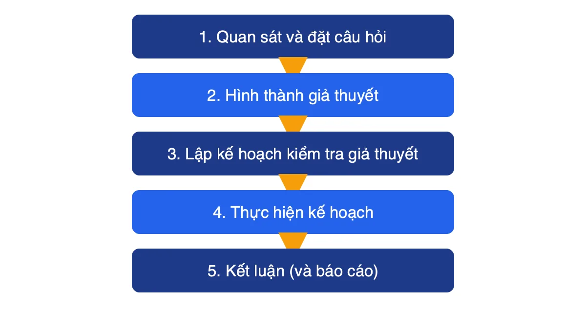 Sơ đồ 5 bước của phương pháp tìm hiểu tự nhiên từ quan sát đến kết luận