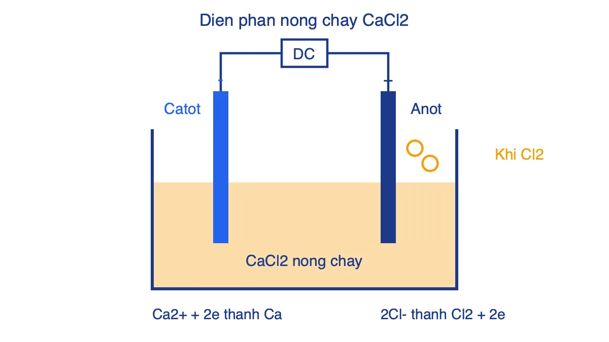 Sơ đồ điện phân nóng chảy CaCl2 với catot sinh Ca và anot sinh khí Cl2