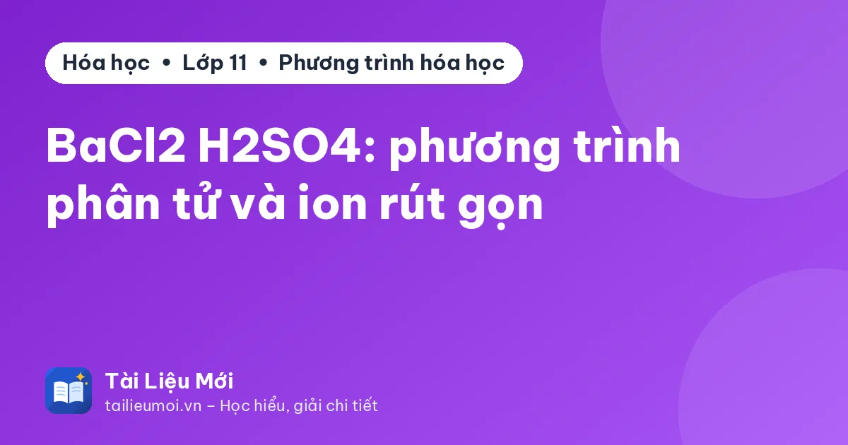 BaCl2 H2SO4: phương trình phân tử và ion rút gọn