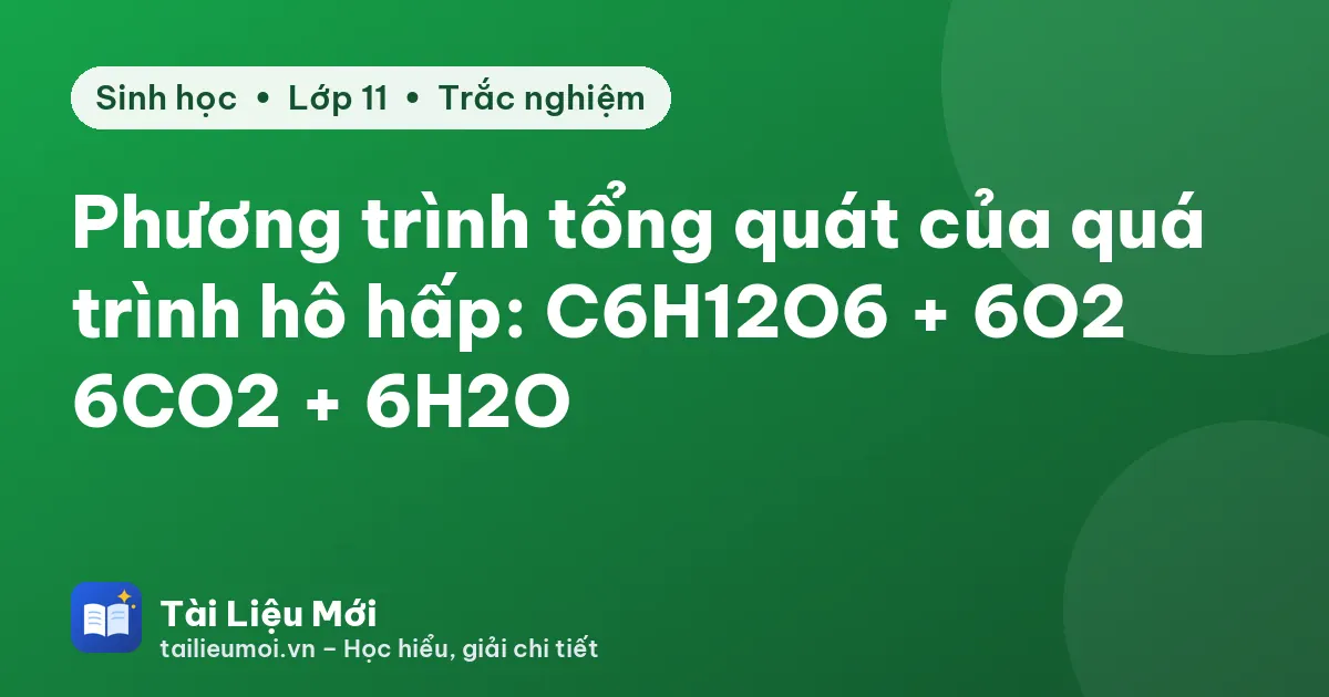 Phương trình tổng quát của quá trình hô hấp: C6H12O6 + 6O2 → 6CO2 + 6H2O