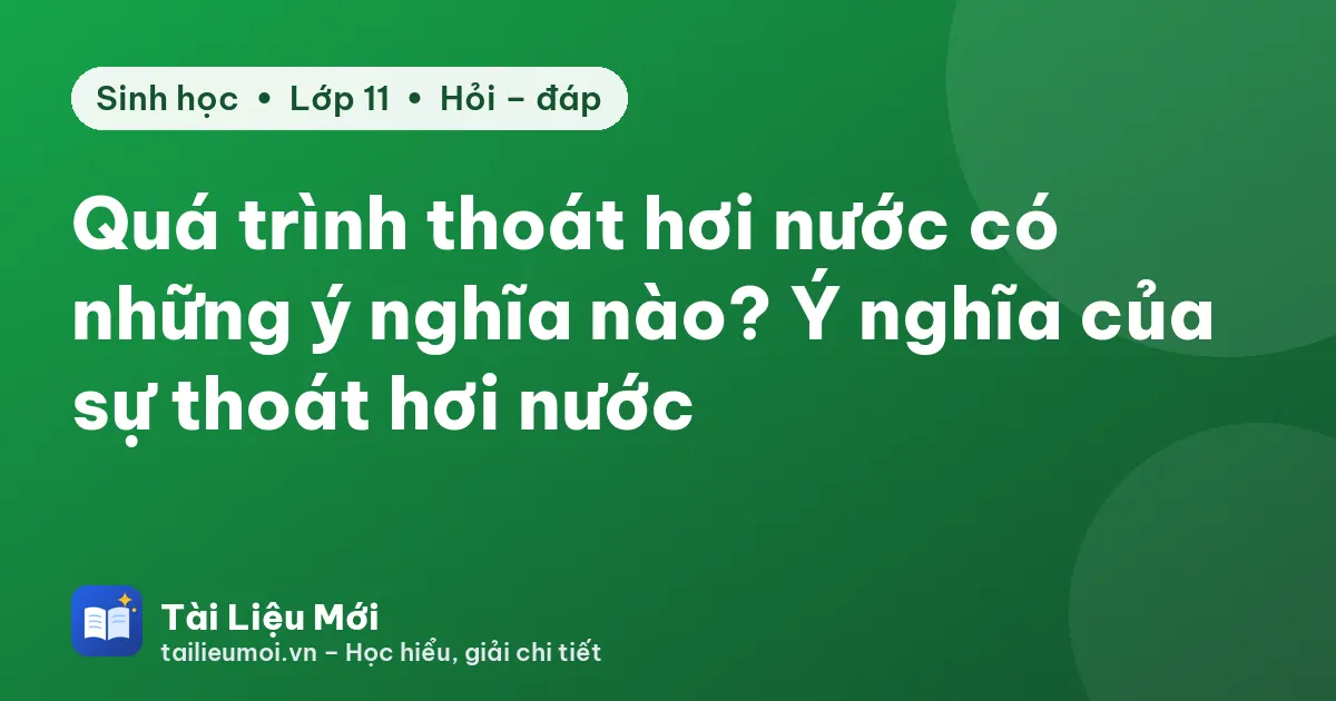 Quá trình thoát hơi nước có những ý nghĩa nào? Ý nghĩa của sự thoát hơi nước
