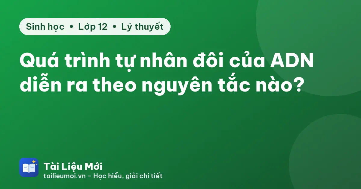 Quá trình tự nhân đôi của ADN diễn ra theo nguyên tắc nào?