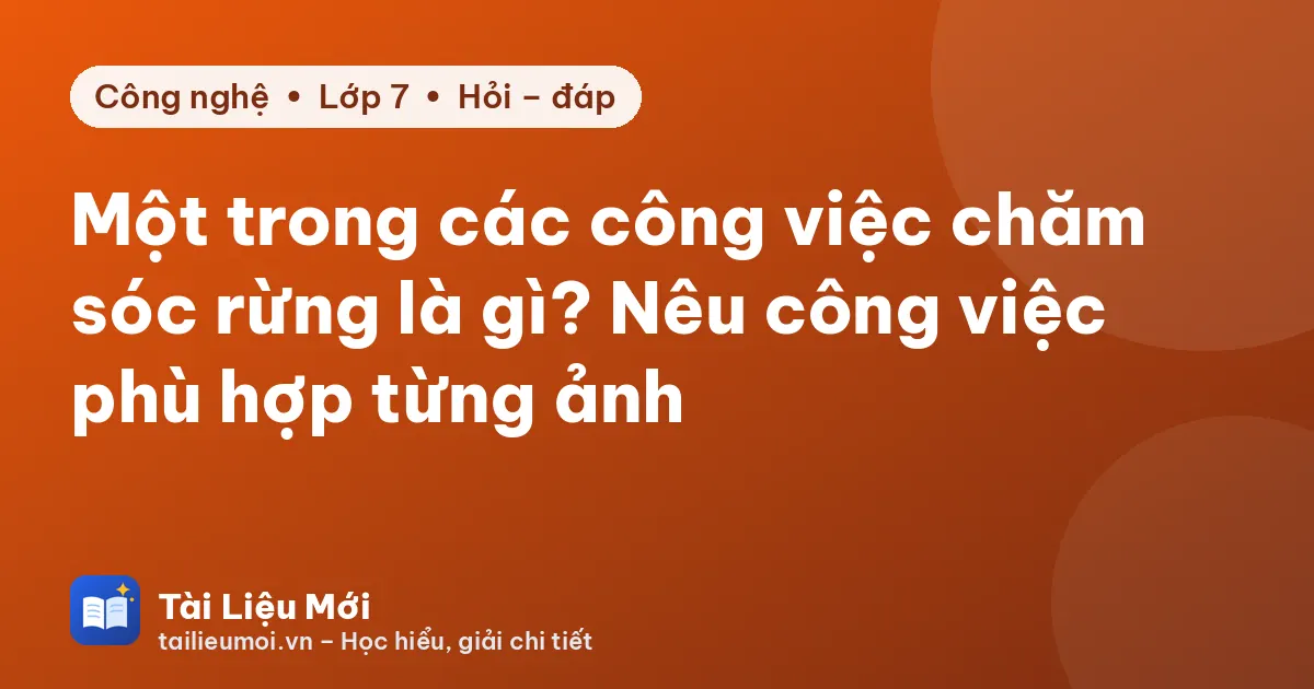 Một trong các công việc chăm sóc rừng là gì? Nêu công việc phù hợp từng ảnh