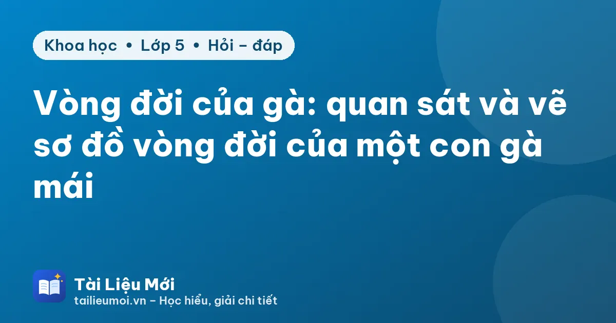 Vòng đời của gà: quan sát và vẽ sơ đồ vòng đời của một con gà mái