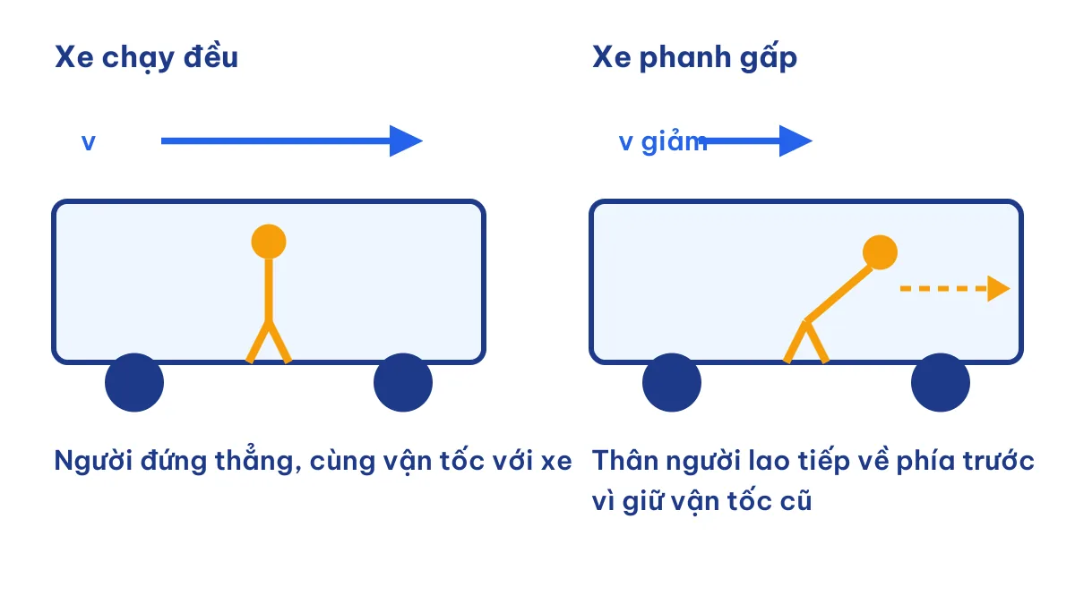 Quán tính của hành khách khi xe buýt chạy đều và khi phanh gấp