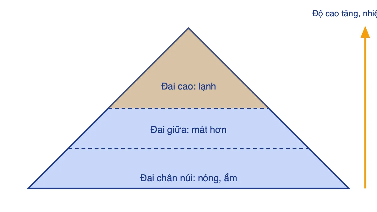 Sơ đồ ba đai cảnh quan từ chân núi lên đỉnh núi, nhiệt độ giảm dần khi độ cao tăng