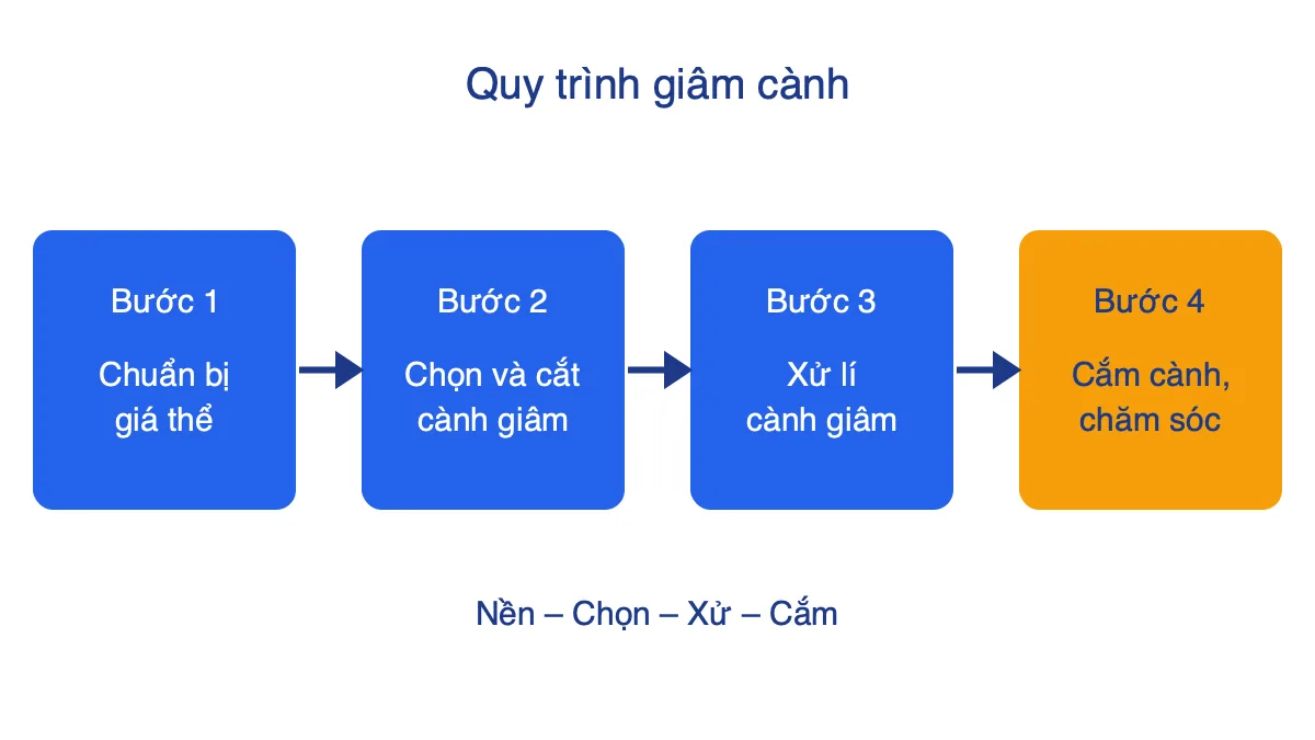 Sơ đồ 4 bước giâm cành: chuẩn bị giá thể, chọn và cắt cành, xử lí cành, cắm cành và chăm sóc