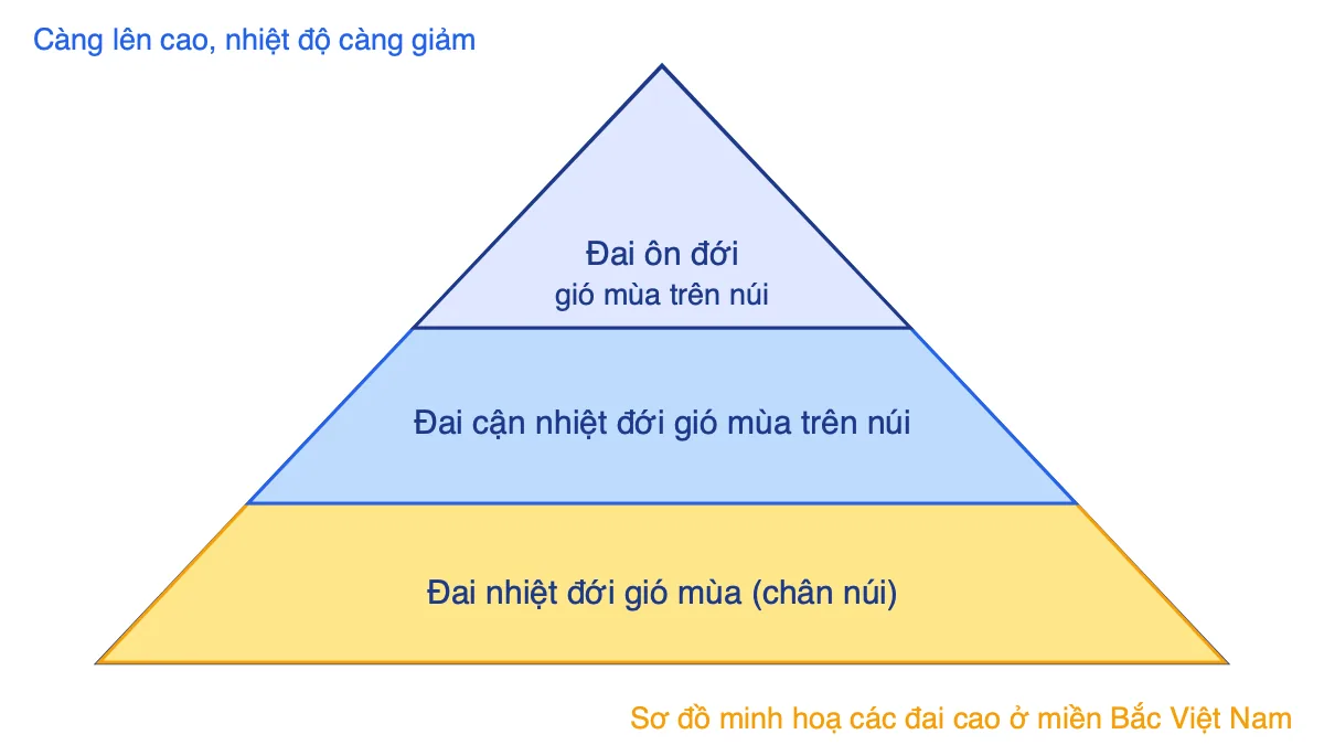 Sơ đồ ba đai cao theo độ cao ở miền Bắc Việt Nam: nhiệt đới gió mùa, cận nhiệt đới gió mùa trên núi, ôn đới gió mùa trên núi