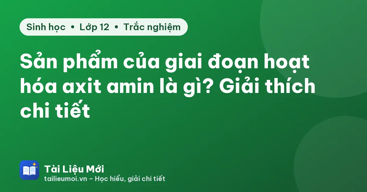 Sản phẩm của giai đoạn hoạt hóa axit amin là gì? Giải thích chi tiết