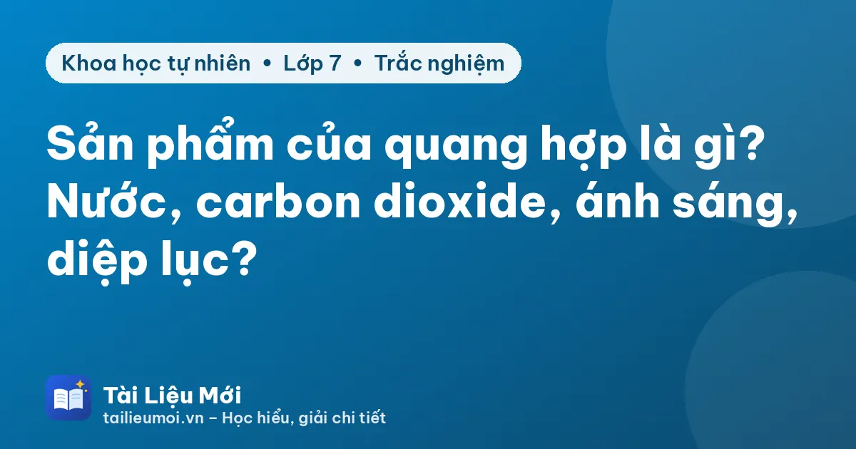 Sản phẩm của quang hợp là gì? Nước, carbon dioxide, ánh sáng, diệp lục?