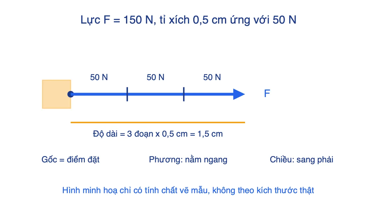 Mũi tên biểu diễn lực 150 N chia thành 3 đoạn, nêu điểm đặt, phương và chiều