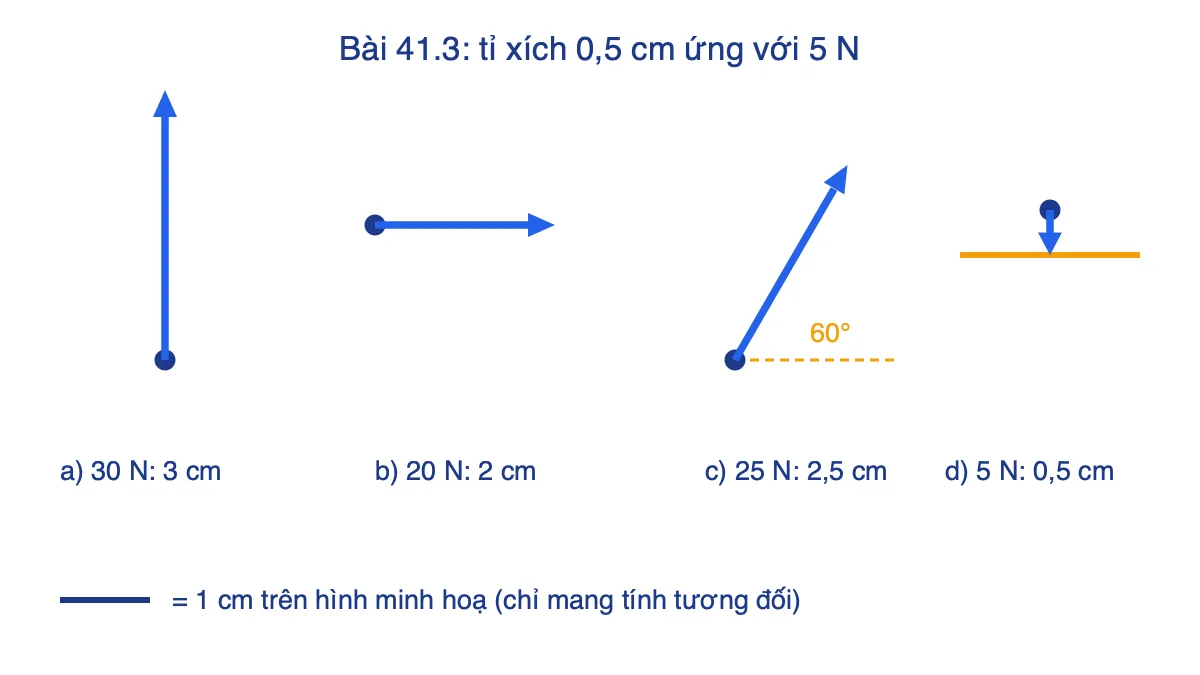 Bốn mũi tên lực dài 3 cm, 2 cm, 2,5 cm và 0,5 cm theo tỉ xích 0,5 cm ứng với 5 N