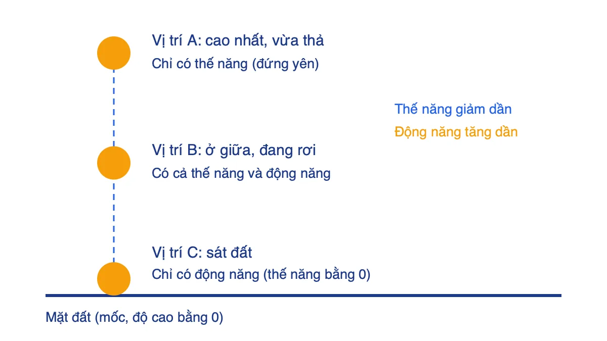 Sơ đồ quả bóng rơi qua ba vị trí: trên cao chỉ có thế năng, ở giữa có cả thế năng và động năng, sát đất chỉ có động năng