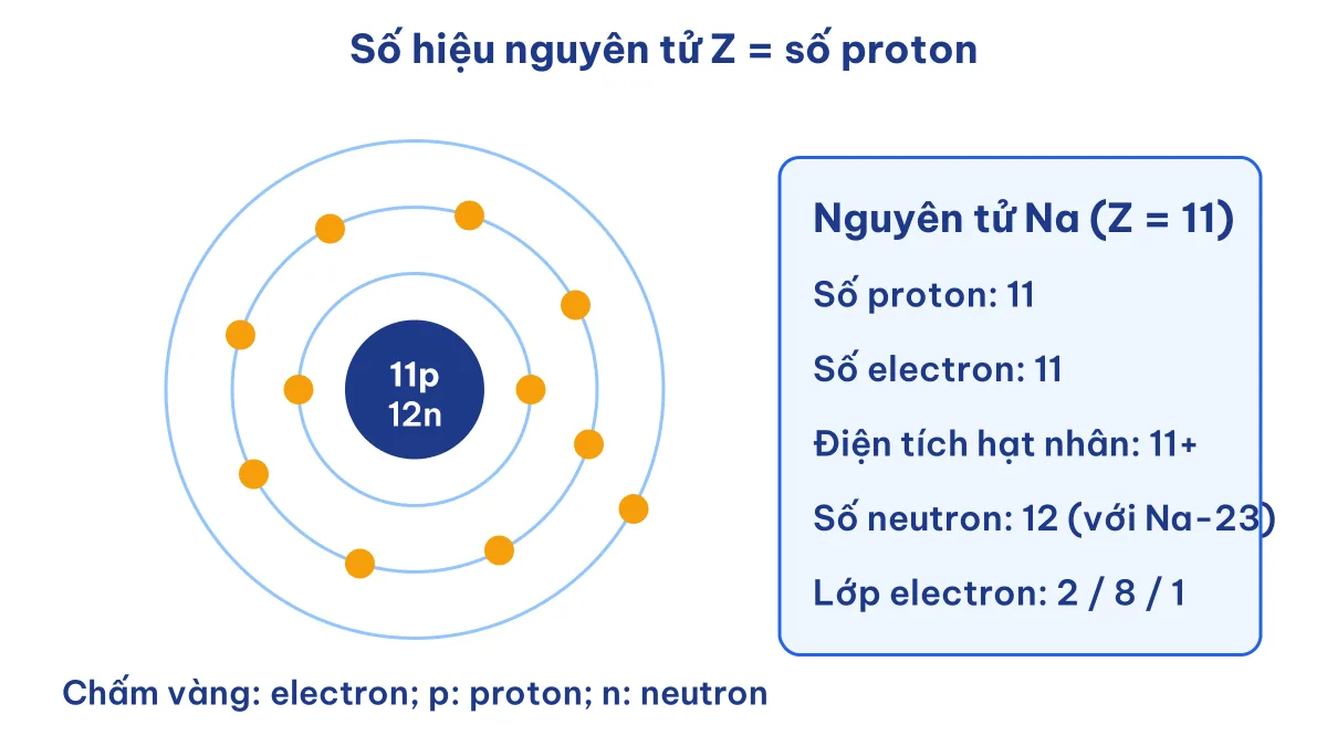 Mô hình nguyên tử natri minh hoạ số hiệu nguyên tử Z bằng số proton và số electron