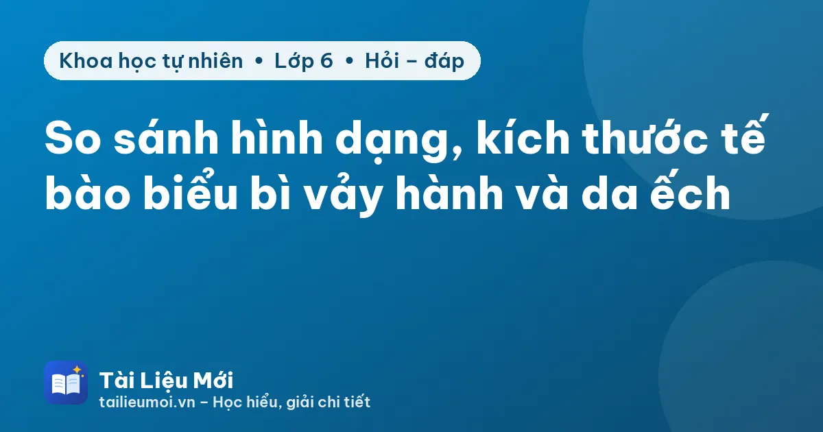 So sánh hình dạng, kích thước tế bào biểu bì vảy hành và da ếch