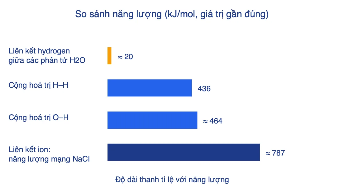 Biểu đồ thanh so sánh năng lượng liên kết hydrogen, liên kết cộng hoá trị H–H, O–H và năng lượng mạng NaCl