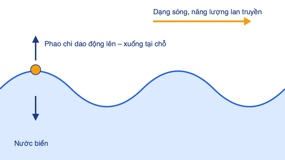 Sơ đồ sóng biển: phao dao động lên xuống tại chỗ, dạng sóng lan truyền theo chiều ngang