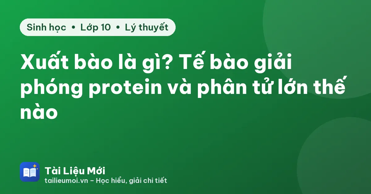 Xuất bào là gì? Tế bào giải phóng protein và phân tử lớn thế nào