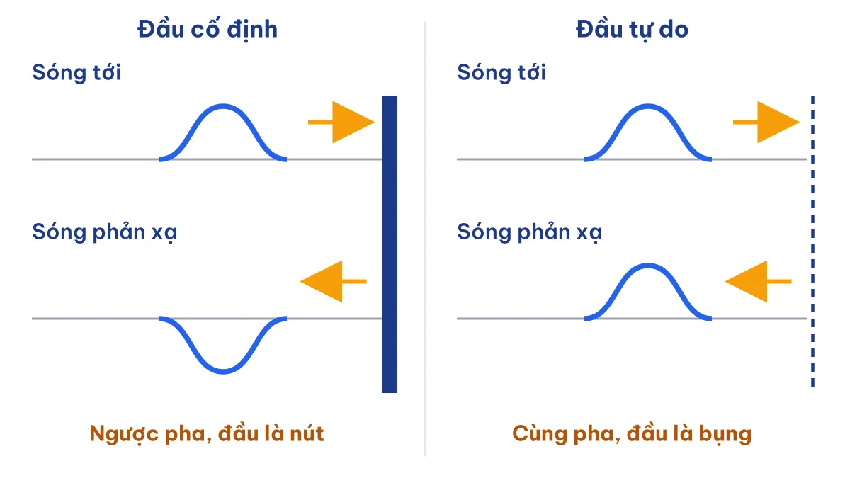 Sóng phản xạ ngược pha với sóng tới ở đầu cố định và cùng pha ở đầu tự do