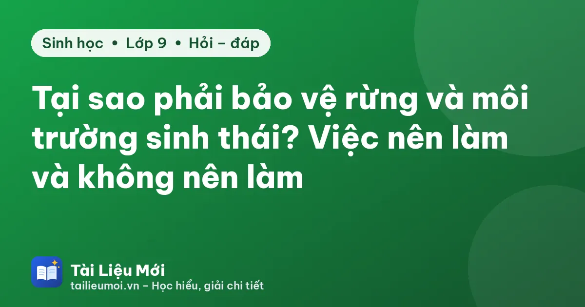 Tại sao phải bảo vệ rừng và môi trường sinh thái? Việc nên làm và không nên làm