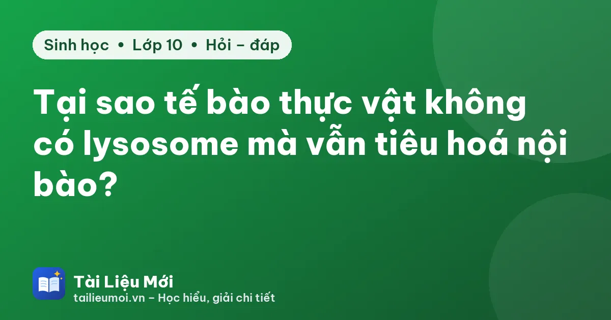 Tại sao tế bào thực vật không có lysosome mà vẫn tiêu hoá nội bào?