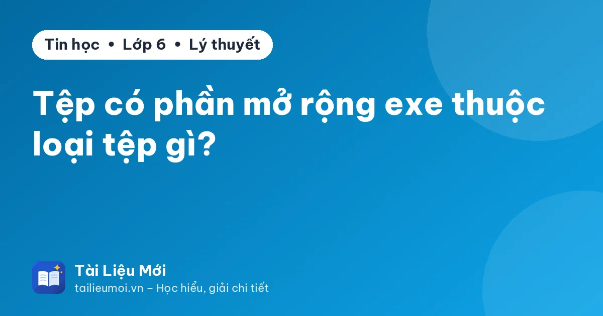 Tệp có phần mở rộng exe thuộc loại tệp gì?