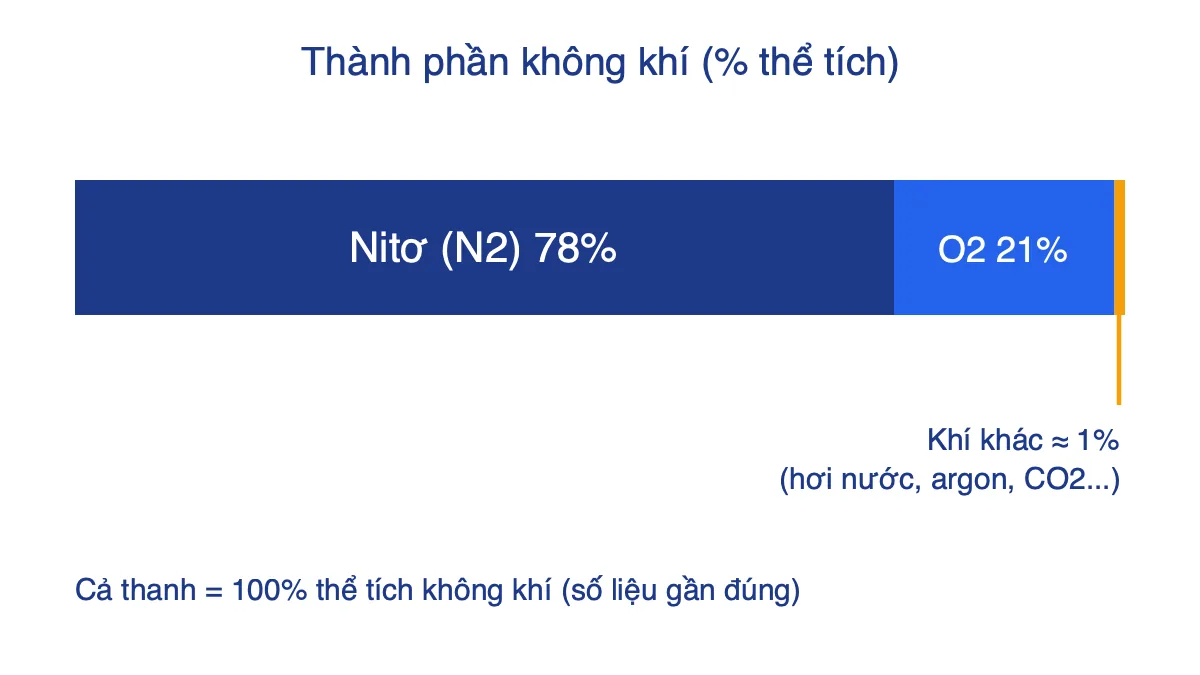 Thanh biểu đồ thành phần không khí: nitơ 78%, oxi 21%, khí khác khoảng 1%