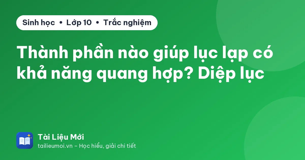 Thành phần nào giúp lục lạp có khả năng quang hợp? Diệp lục