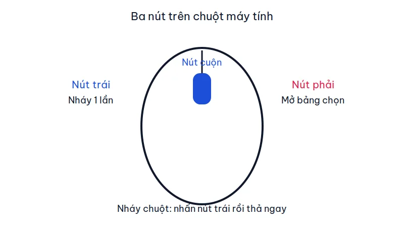 Sơ đồ chuột máy tính với nút trái, nút phải và nút cuộn