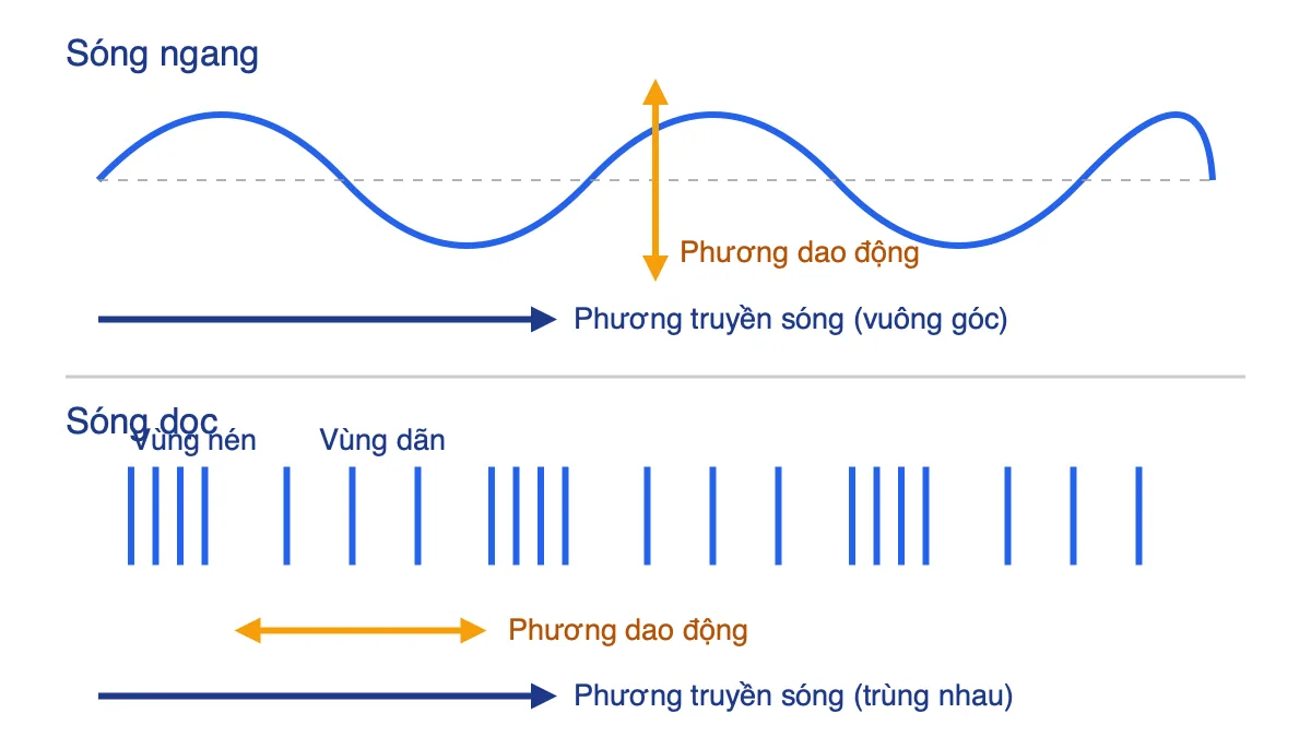 Sơ đồ so sánh sóng ngang và sóng dọc