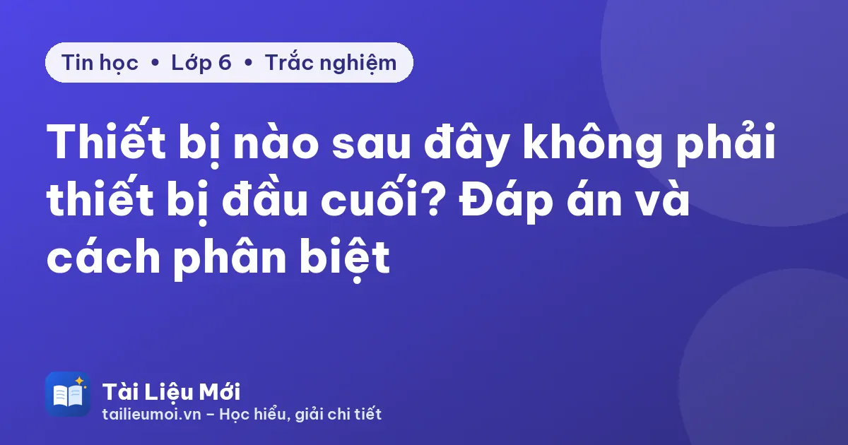 Thiết bị nào sau đây không phải thiết bị đầu cuối? Đáp án và cách phân biệt