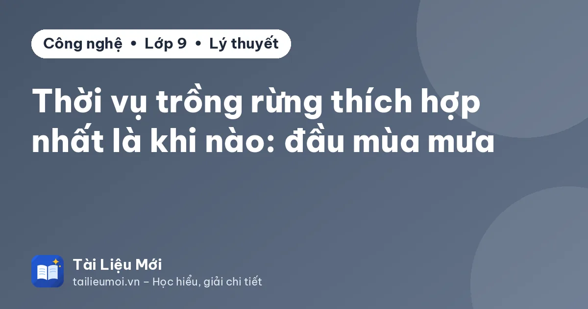 Thời vụ trồng rừng thích hợp nhất là khi nào: đầu mùa mưa