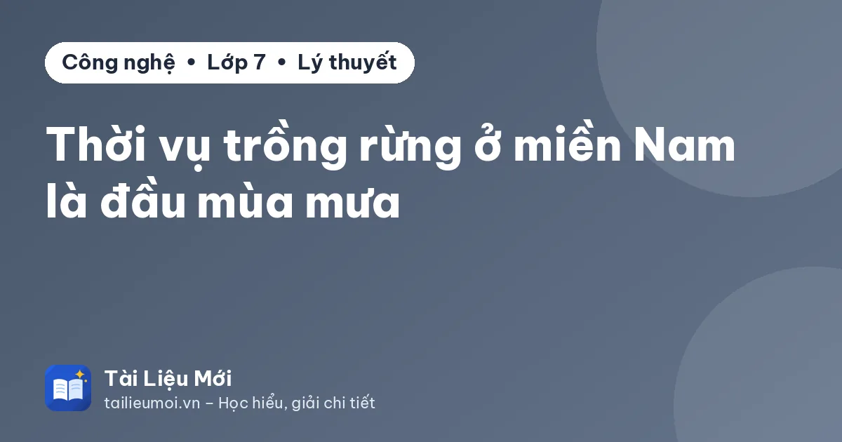 Thời vụ trồng rừng ở miền Nam là đầu mùa mưa