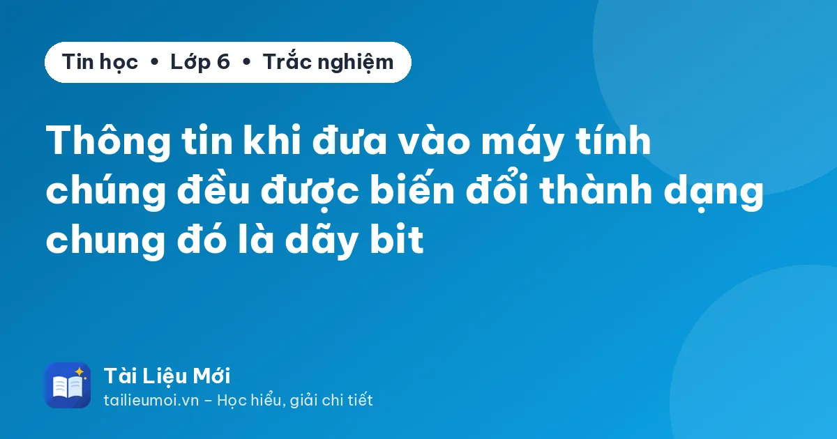 Thông tin khi đưa vào máy tính chúng đều được biến đổi thành dạng chung đó là dãy bit