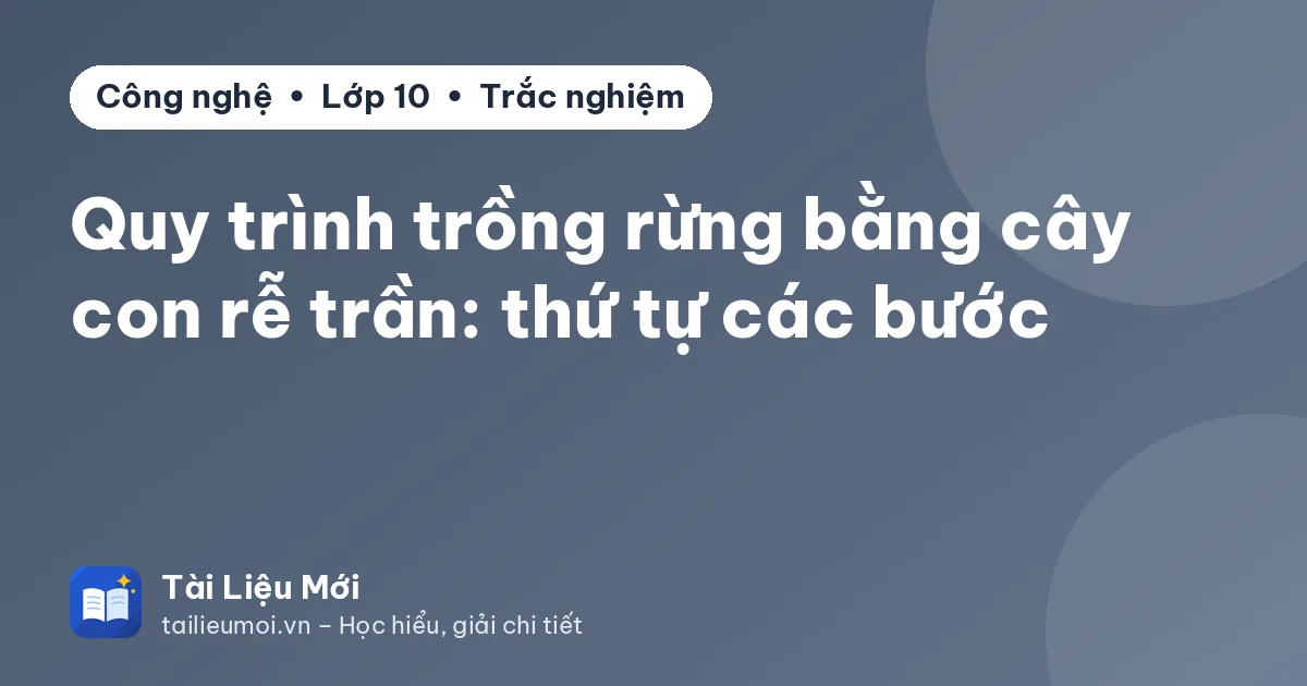 Quy trình trồng rừng bằng cây con rễ trần: thứ tự các bước