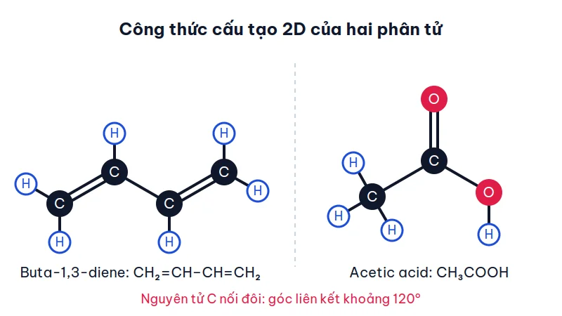 Công thức cấu tạo phẳng của buta-1,3-diene với hai liên kết đôi C=C và của acetic acid với nhóm COOH, nguyên tử C màu đen, O màu đỏ, H màu xanh