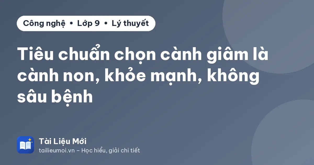 Tiêu chuẩn chọn cành giâm là cành non, khỏe mạnh, không sâu bệnh