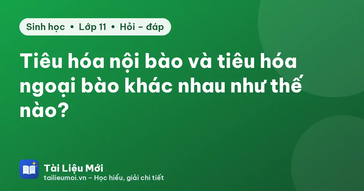 Tiêu hóa nội bào và tiêu hóa ngoại bào khác nhau như thế nào?