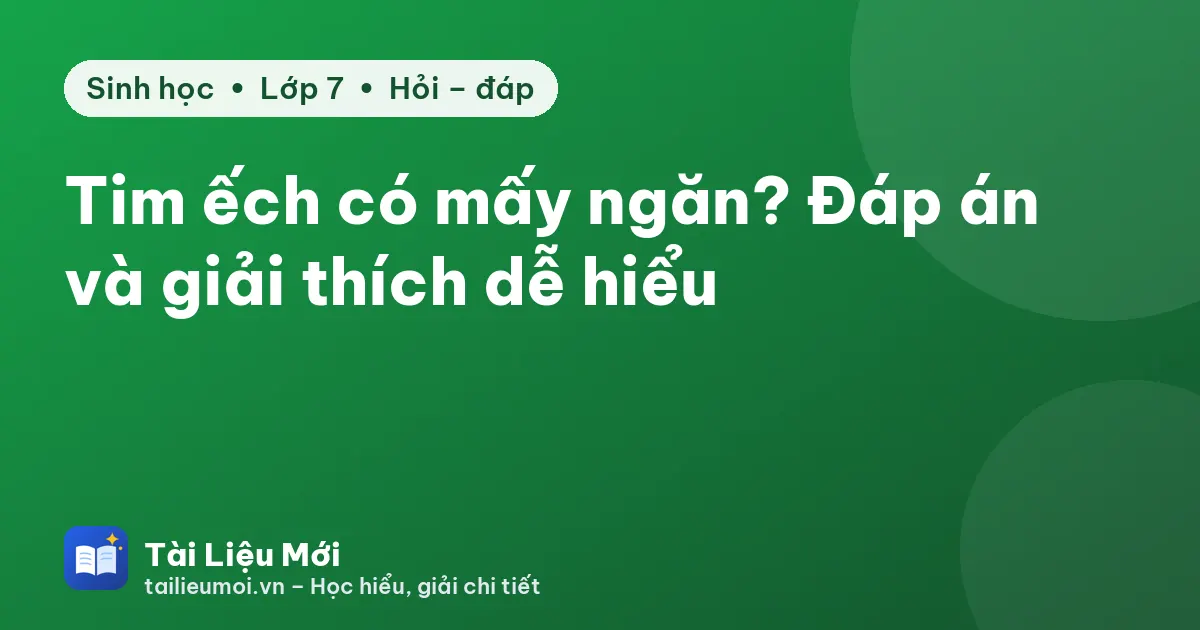 Tim ếch có mấy ngăn? Đáp án và giải thích dễ hiểu